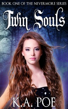 Cover for Twin Souls