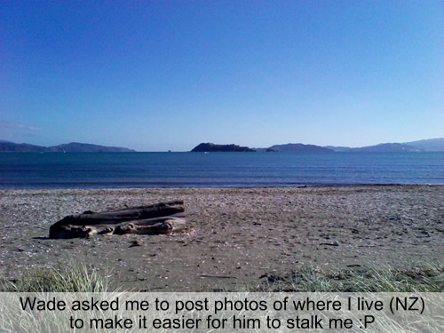 Beach in New Zealand