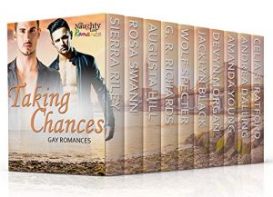 Cover for Taking Chances: Gay Romances