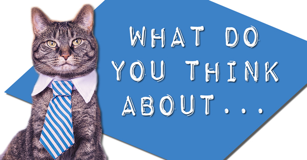 Survey Cat wants to know what you think about SPRT...